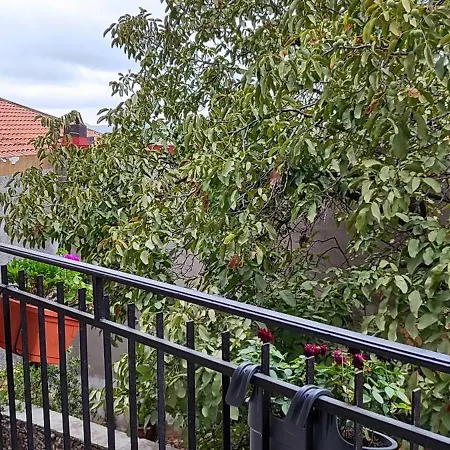 S'erbei Niedda Seùlo